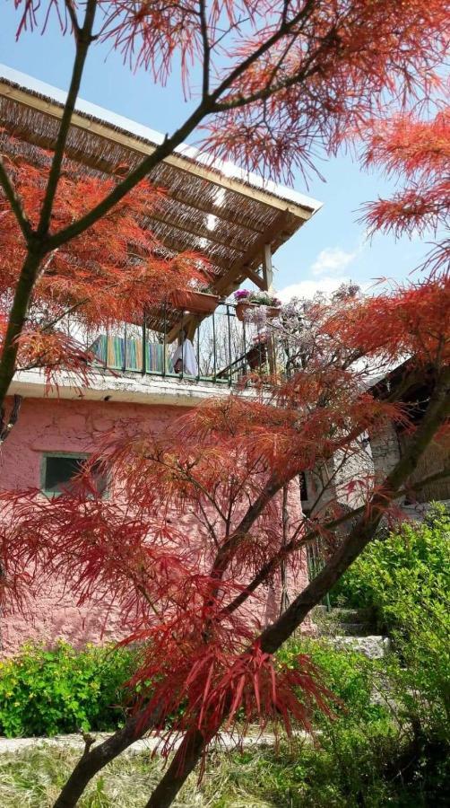 La Casa Rosa Di Segusino With Spa Jacuzzi In Garden Sequsino Exterior foto